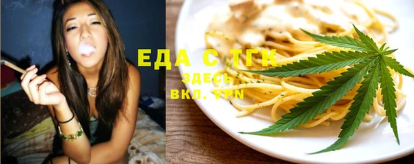 индика Новодвинск