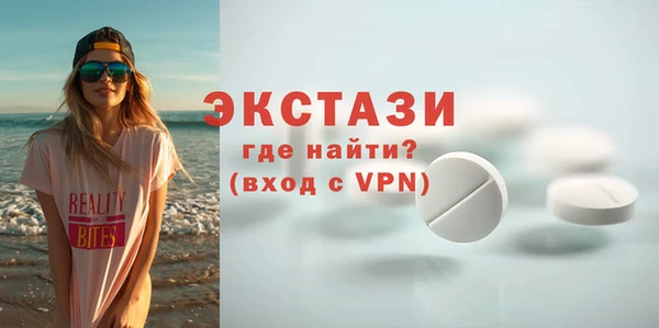 индика Новодвинск