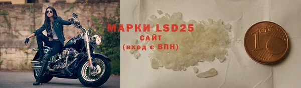 индика Новодвинск