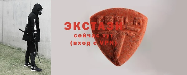 индика Новодвинск