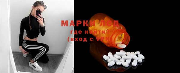 индика Новодвинск