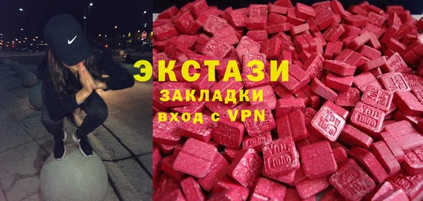 индика Новодвинск