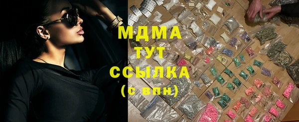 индика Новодвинск