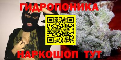 сатива Донской