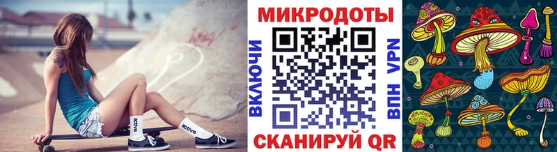 сколько стоит  Кимры  Псилоцибиновые грибы MAGIC MUSHROOMS 