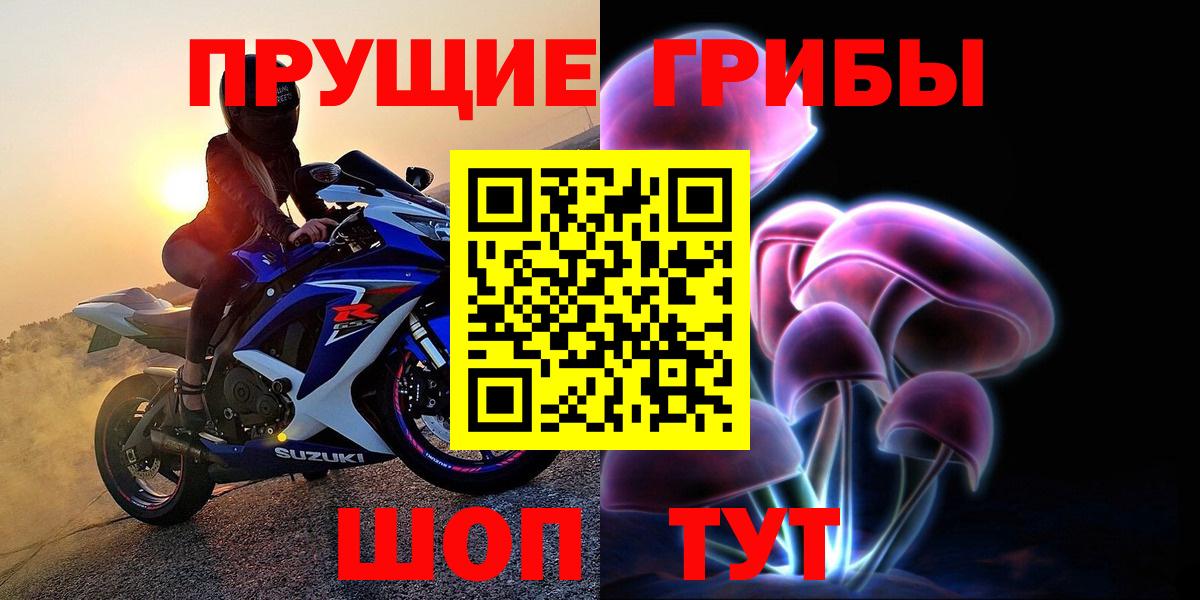 Псилоцибиновые грибы прущие грибы Кимры