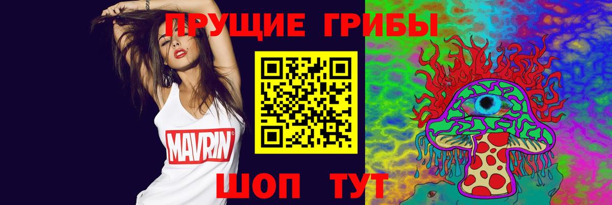 Псилоцибиновые грибы Psilocybe  Вход с VPN  Кимры 